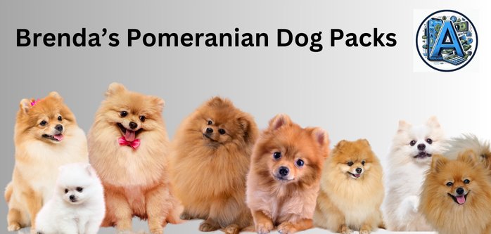 Brenda's Pomeranian Dog Packs Over the Years.